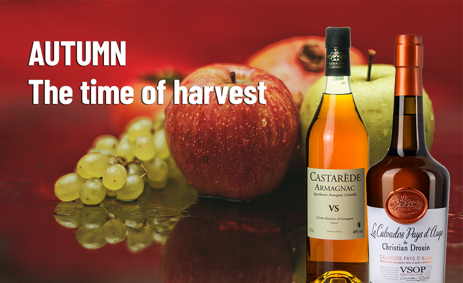 WhiskyNet Insight: Autumn – the Most Exciting Season of Harvest