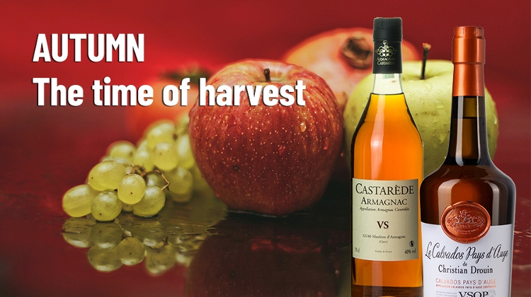 WhiskyNet Insight: Autumn – the Most Exciting Season of Harvest