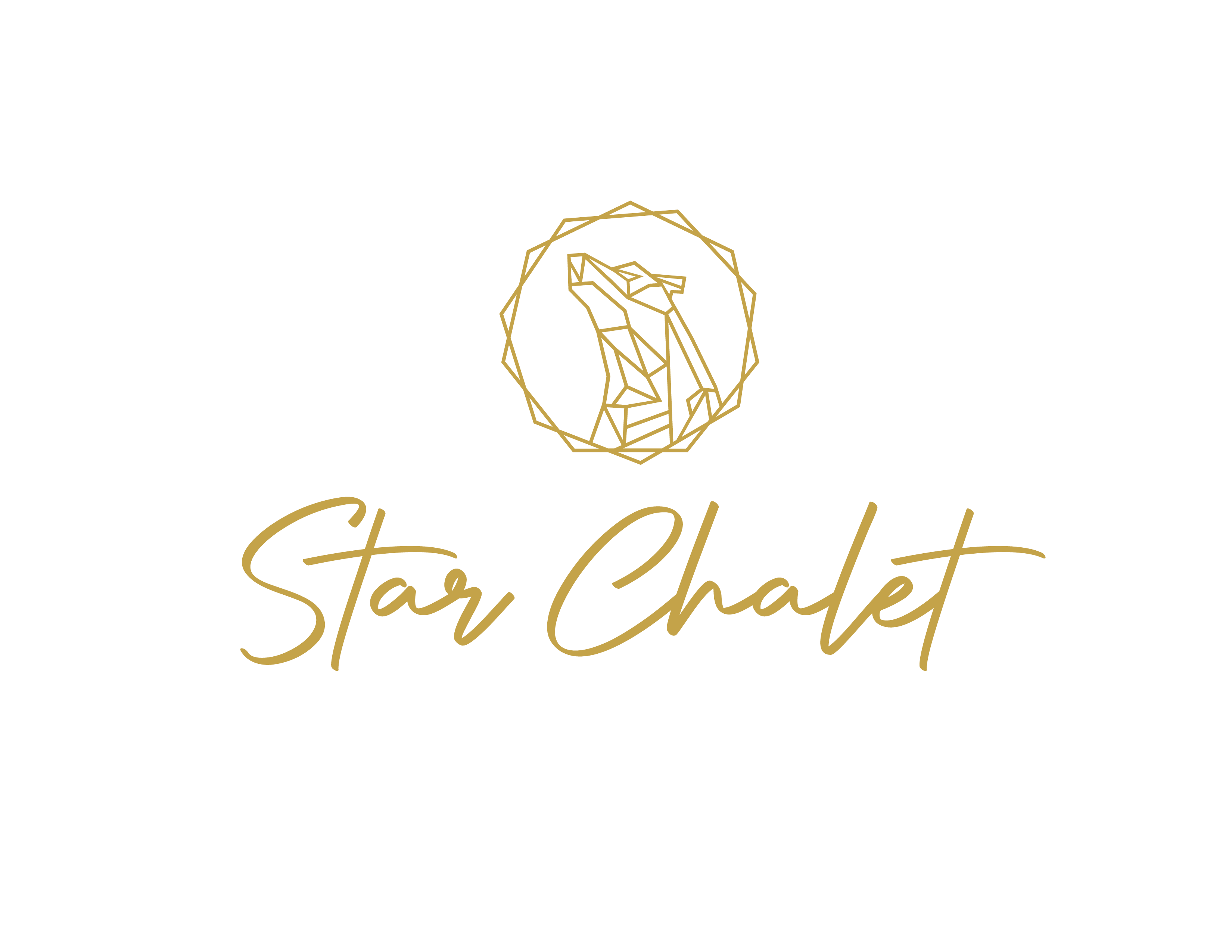 Hard Rock Hotel Budapest Unveils the Star Chalet
