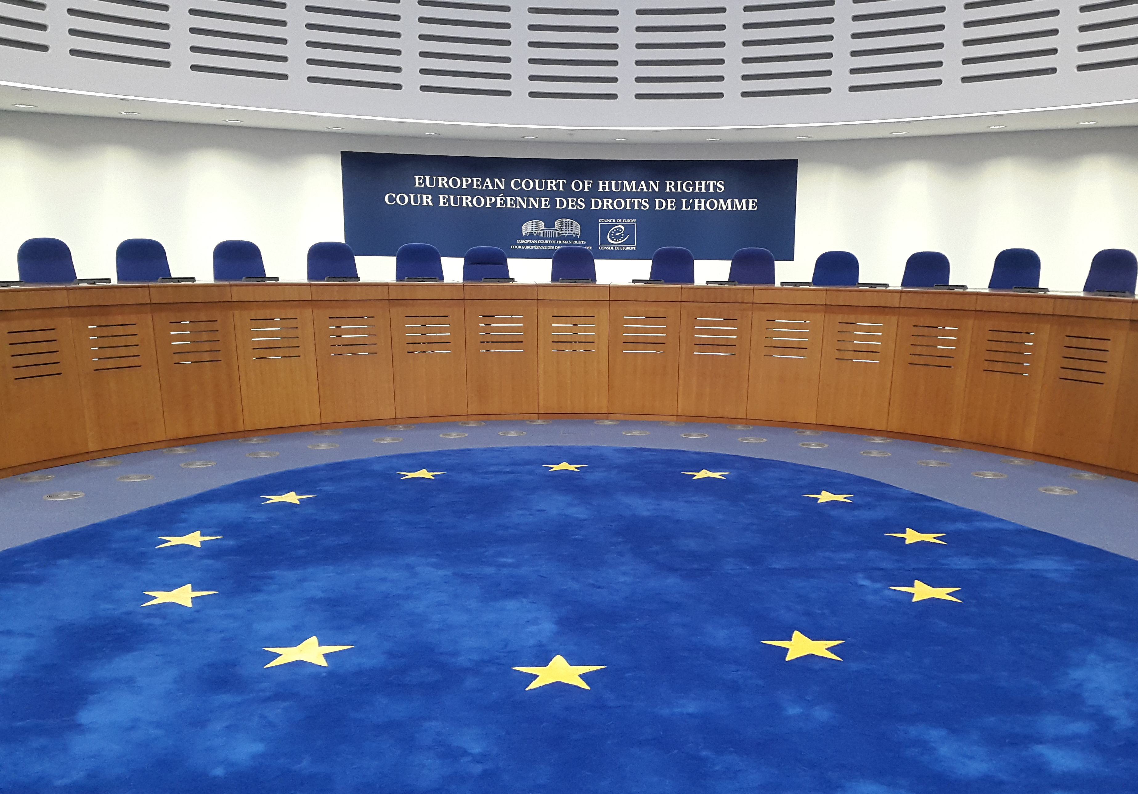 ECHR Condemns State Failure to Examine Humiliating Treatment of Teacher, Police Brutality in Hungary