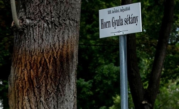 Renaming of Budapest Street for Gyula Horn Deemed Unlawful