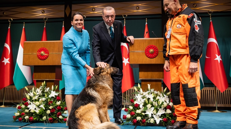 Watch: Erdogan Meets Novak - Turkey to Boost Relations with Hungary