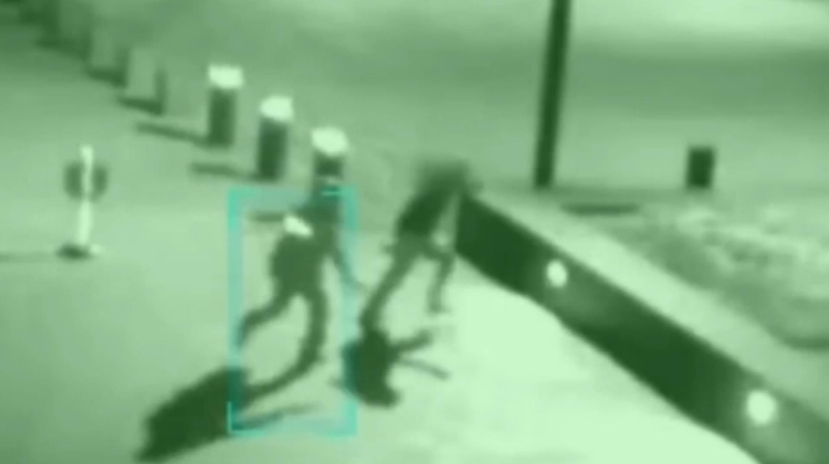 Watch: American Hits Budapest Parliamentary Guard & Gets Expelled from Hungary