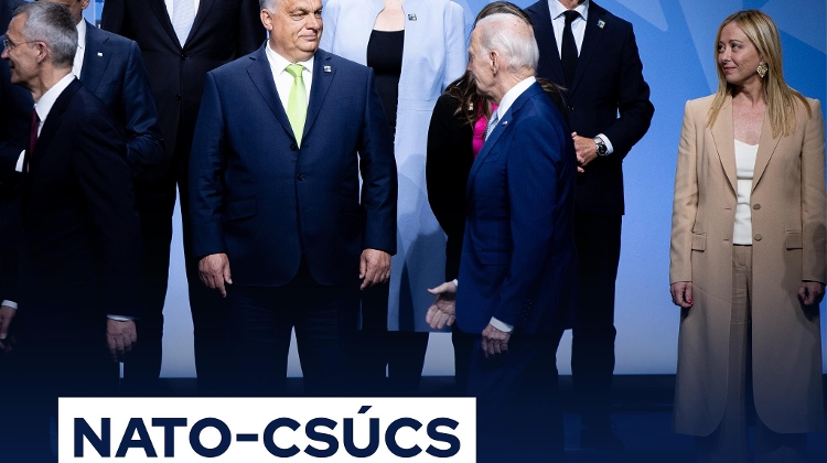 Biden Just Shakes Hands with Orban at NATO Summit