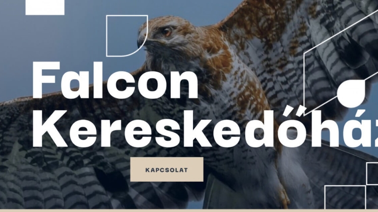 Watchdog Shuts Down Falcon Pyramid Scheme in Hungary