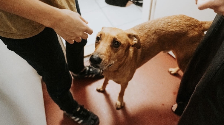 Kárász Emese: 'Burning Sky', Trafó Budapest, 10 December