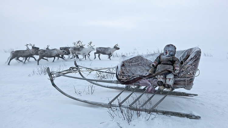 Contemporary Photography Exhibition, House of Lucie Budapest, 23 March