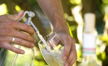 Insider’s Guide: Fröccs – the Hungarian Wine & Soda Spritzer