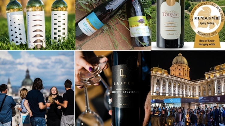 7 Top Tips for Budapest Wine Festival