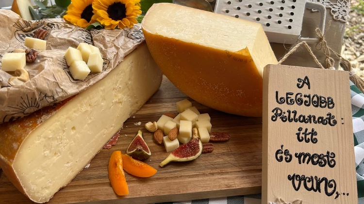 Two Hungarian Cheeses Clinch Gold at Top-Tier Competition