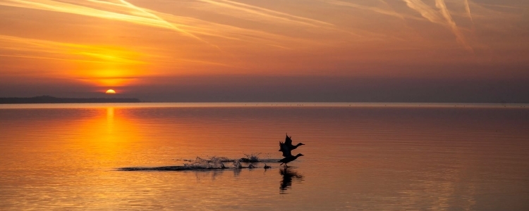 Top 5 Winter Experiences Around Balaton