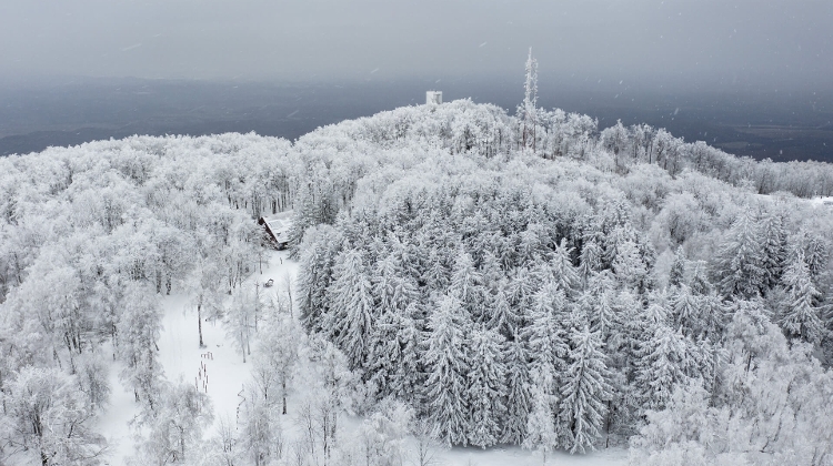 Heavy Snow Downs Trees Across Hungary