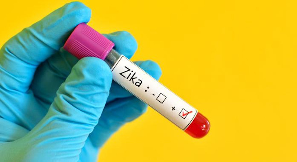 New Cases of Zika Infection Detected in Hungary