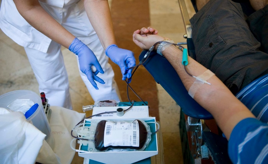 Insider's Guide: How to Donate Blood in Hungary