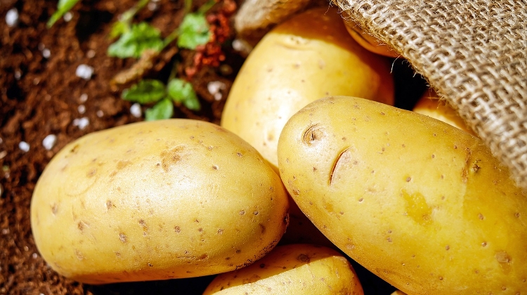 Potato Scandal: Retailers in Hungary Object to Fines on 'Missing Products'
