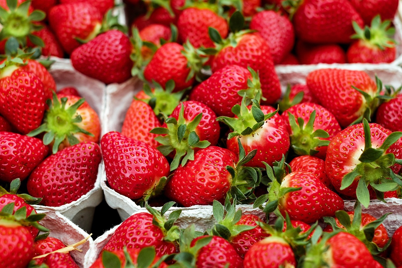 Strawberry Season in Hungary Looks Promising This Year