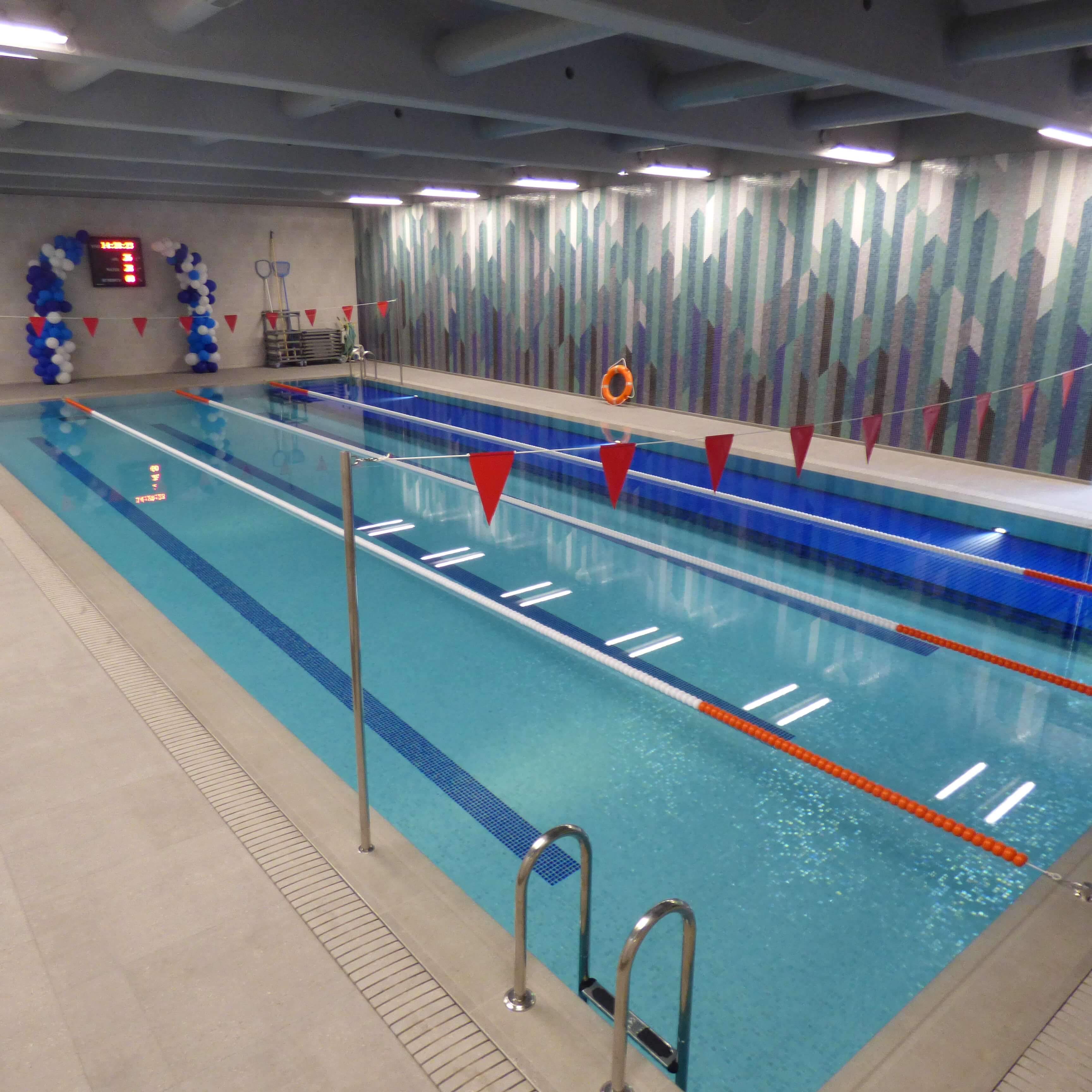 Brand New Swimming Pool Opens At Britannica International School in Budapest