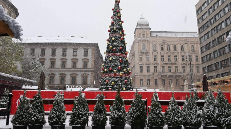 Great Read: Xpat Community E-Magazin, 30 November