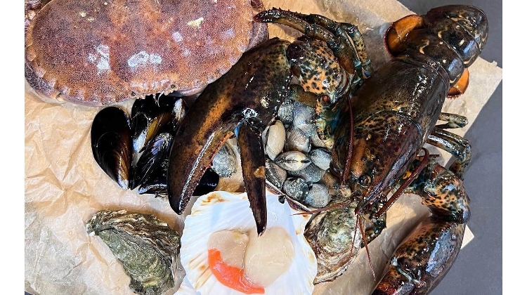 Fresh Fish Delights from La Pescheria Fishmongers in Budapest