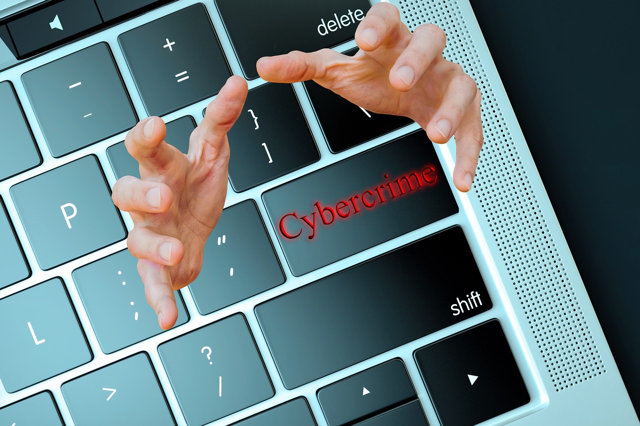 Warning: Cybercrime in Hungary on Increase
