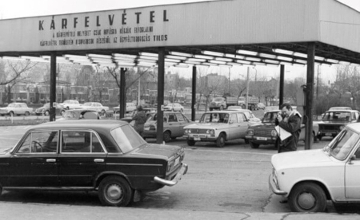 An Englishwoman's Life in Communist Hungary': Book 2, Chapter 4.