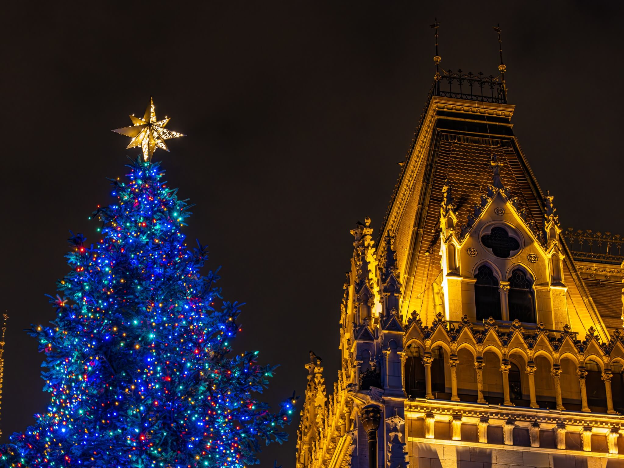 45-Year-Old Pine Chosen as Hungary’s Key Christmas Tree for Kossuth Square in Budapest