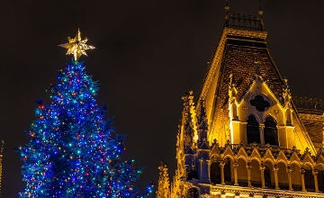 45-Year-Old Pine Chosen as Hungary’s Key Christmas Tree for Kossuth Square in Budapest