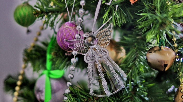 45-Year-Old Pine Picked as Hungary’s Main Christmas Tree in Budapest's Kossuth Tér