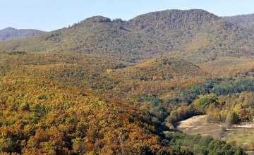 Massive Gold & Silver Reserves Found in Börzsöny Mountains in Hungary