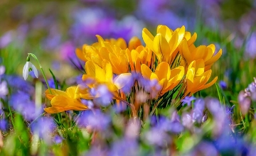 New Heat Records in Budapest