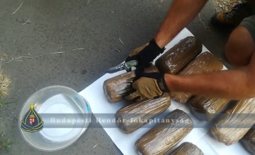 Foreigner Nabbed with Big Stash of Marijuana in Hungary