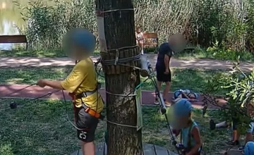 Updated: Police Propose Indicting Karate Master in Hungary for Brutally Kicking 5-Year-Old Updated: Police Propose Indicting Karate Master in Hungary for Brutally Kicking 5-Year-Old