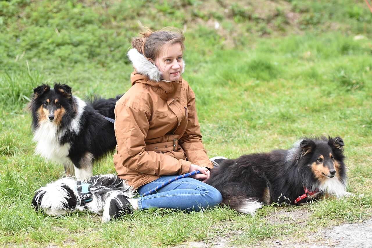 Spending Up on Canine Companions, As Nearly Half Of Households in Hungary Own A Dog