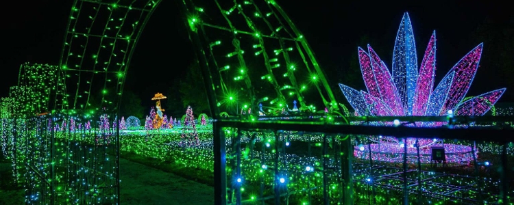 Introducing Lumina Park in Budapest