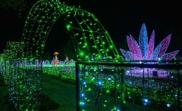 Lumina Park Maps 150 Years of Budapest's Past & Future Lumina Park Maps 150 Years of Budapest's Past & Future