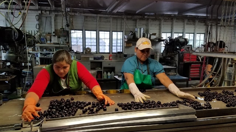 Food Industry in Hungary Gets New Year Present from Gov't