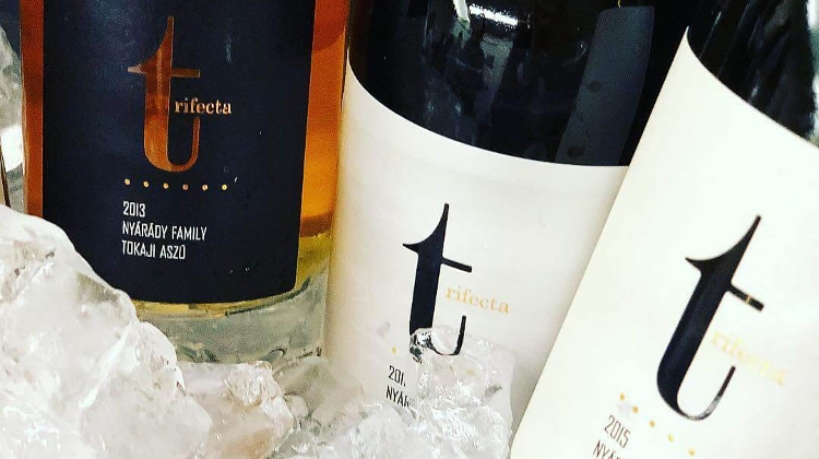 Winelovers Awards: Tokaj Stands Out at International Tasting Competition