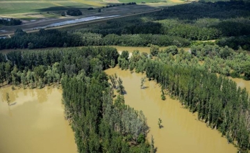 Watch: Flood Closes Popular Forest Hiking Trails in Hungary for Weeks