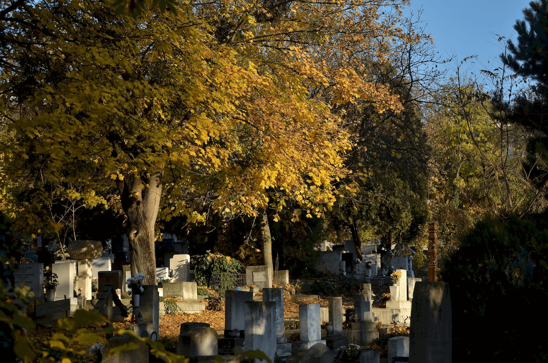 Autumn Walk in the Most Famous Cemeteries of Budapest