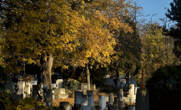 Special Autumn Walks in the Most Famous Cemeteries of Budapest