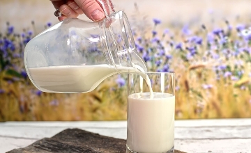 Dairy Company & Uni in Hungary Develop Technology to Produce Premium Milk