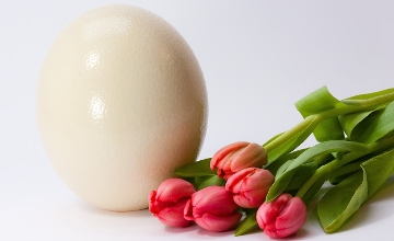 Kifli Amazes the Hungarian Market Again with an Exclusive Easter Extravaganza