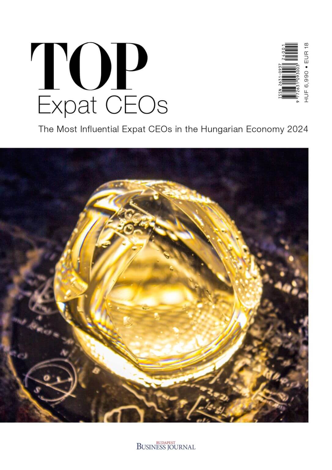 The Most Influential Expat CEOs in the Hungarian Economy 2024