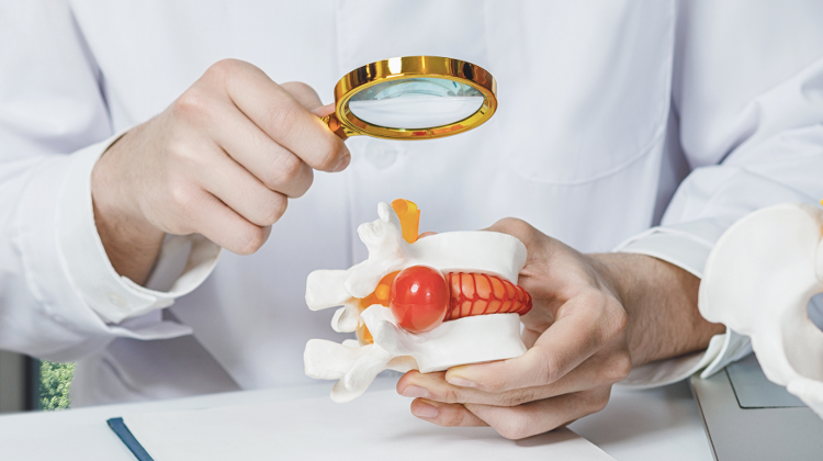 Hernia Surgeries at Wáberer Medical Center in Budapest