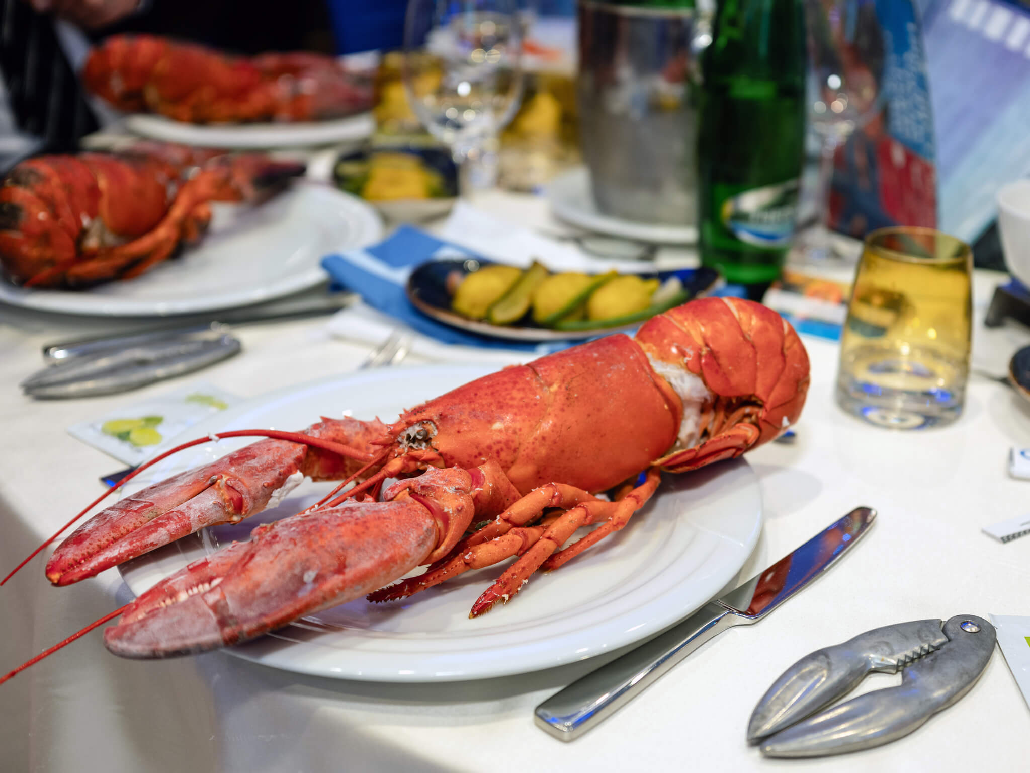 Lobster Dinner Celebrates CCCH’s 30th Anniversary in Budapest