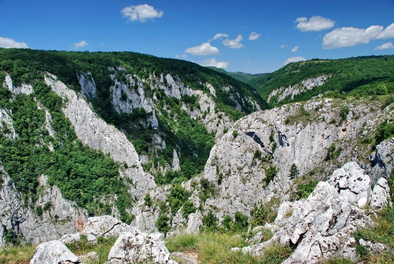 Hungary & Slovakia Team Up to Restore Border Habitats