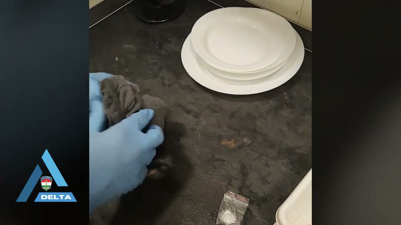 Official: Drug Dealers in Hungary Now Targeting Schools