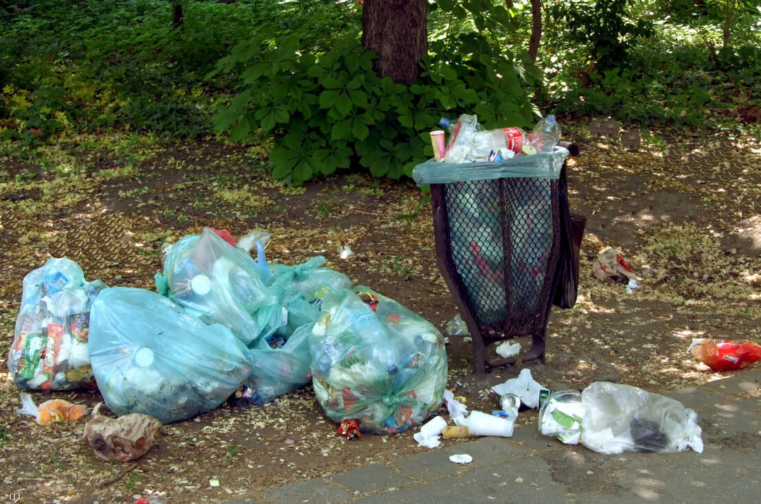 Strike Halts Waste Collection Across Budapest - What's Next?