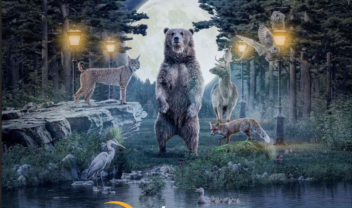 The Night of the Zoos in Hungary, 29 August