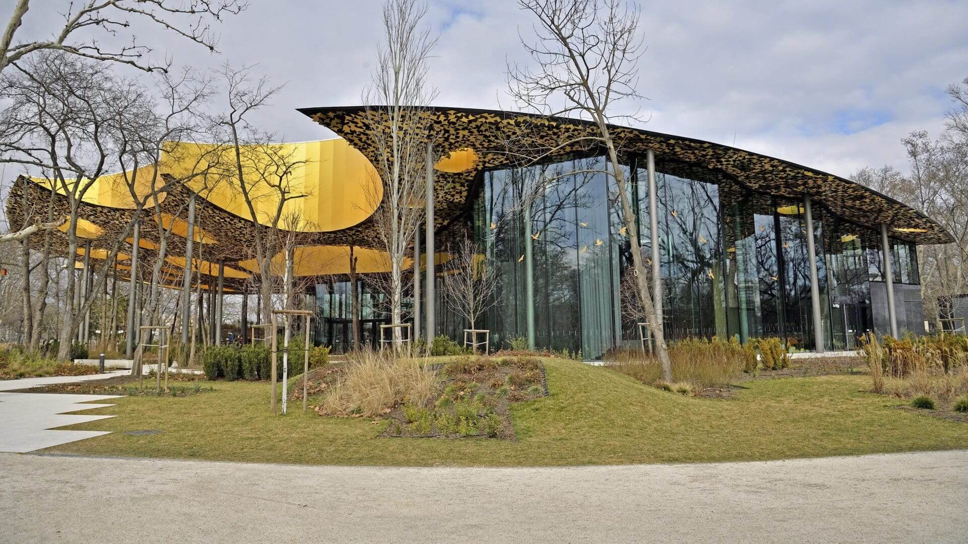 Free Online Series Launched by House of Music Hungary on World Music Day